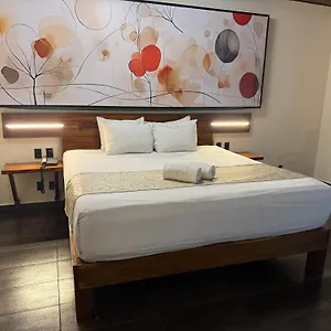 Kavia 5th Avenida (adults Only) Отель